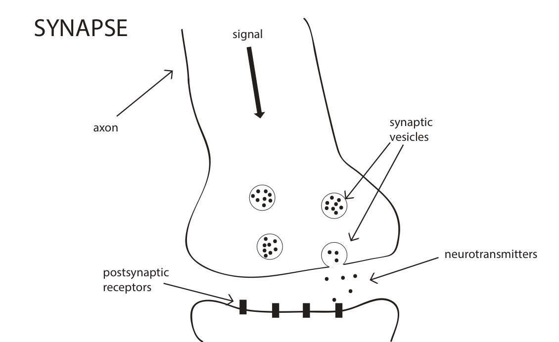 Figure 20