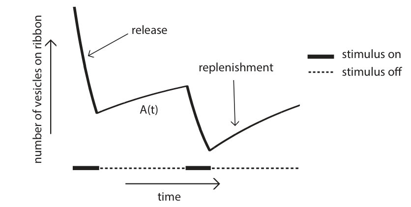 Figure 21