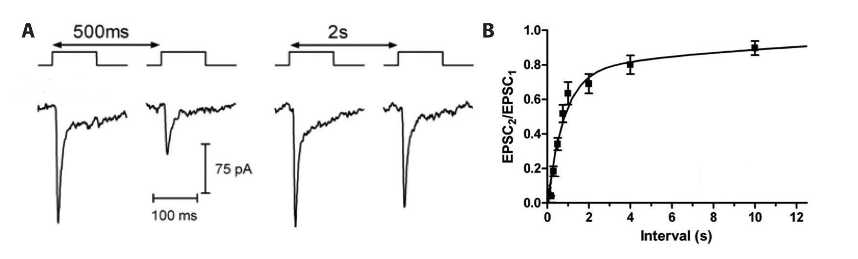 Figure 30