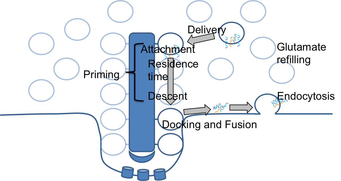 Figure 36