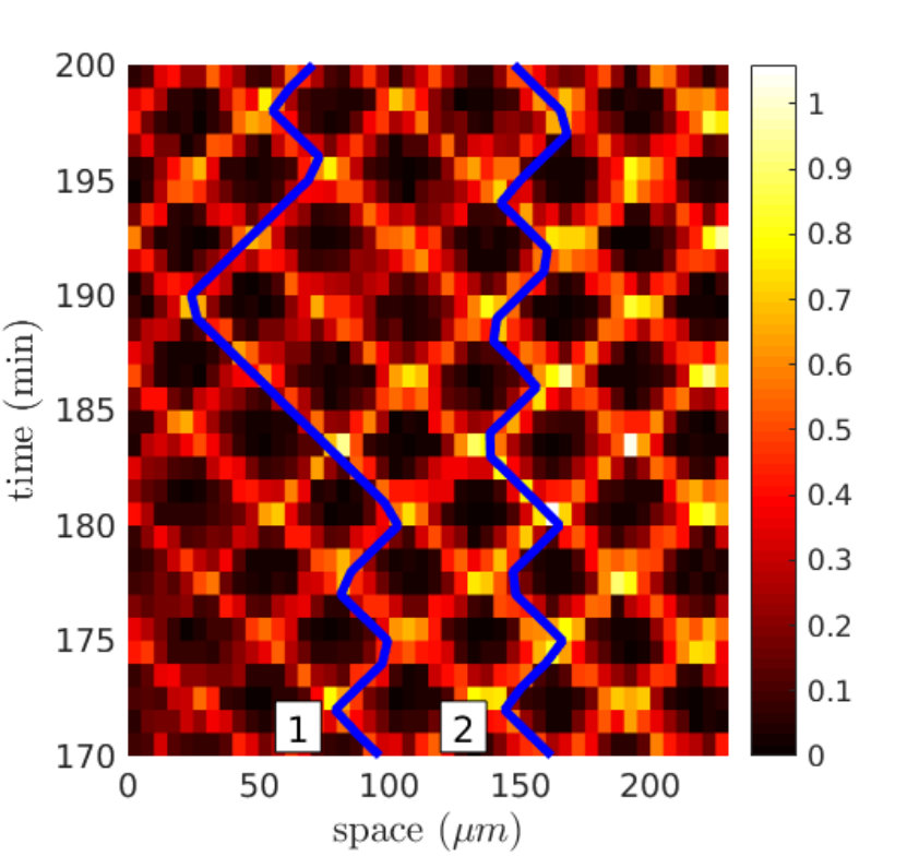 Figure 13
