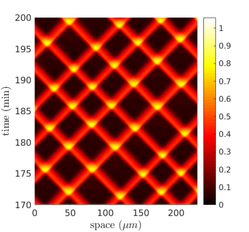 Figure 14
