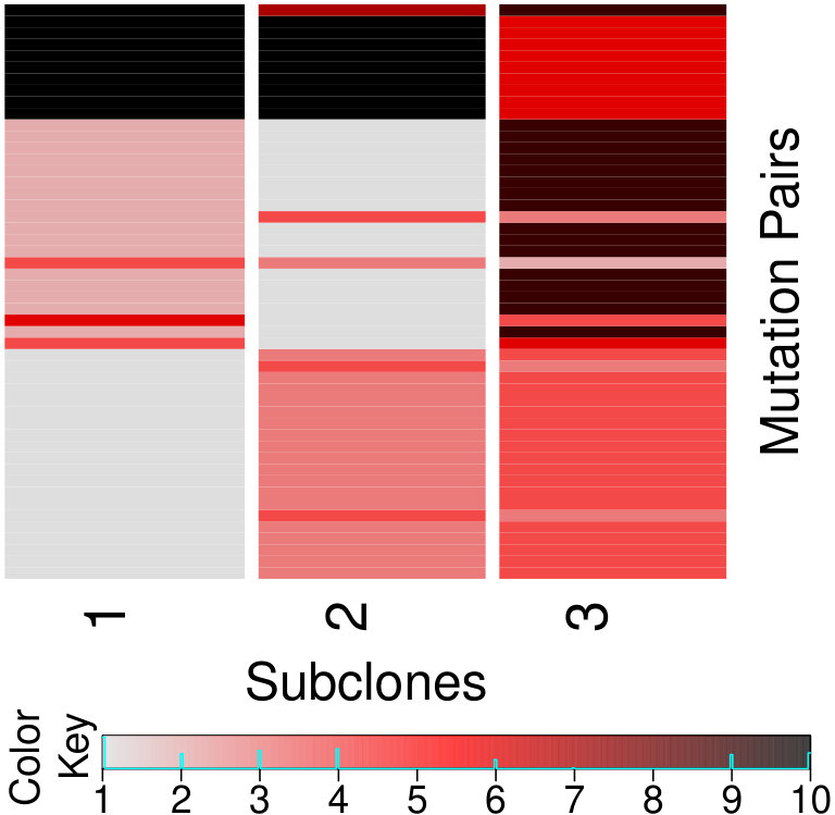 Figure 21