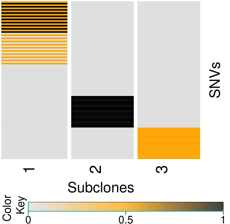 Figure 22