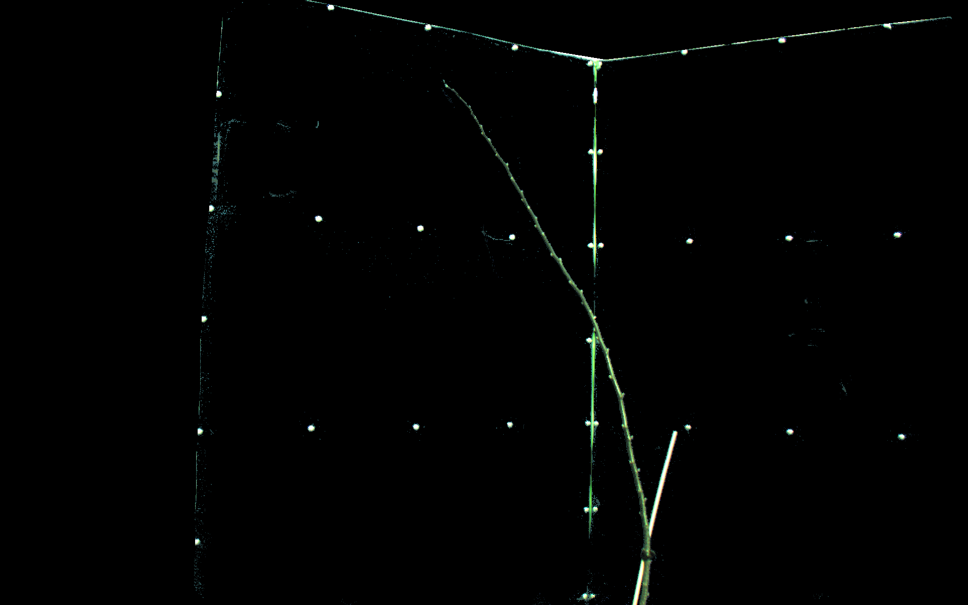 Figure 14