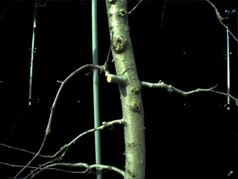 Figure 19
