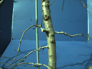 Figure 23