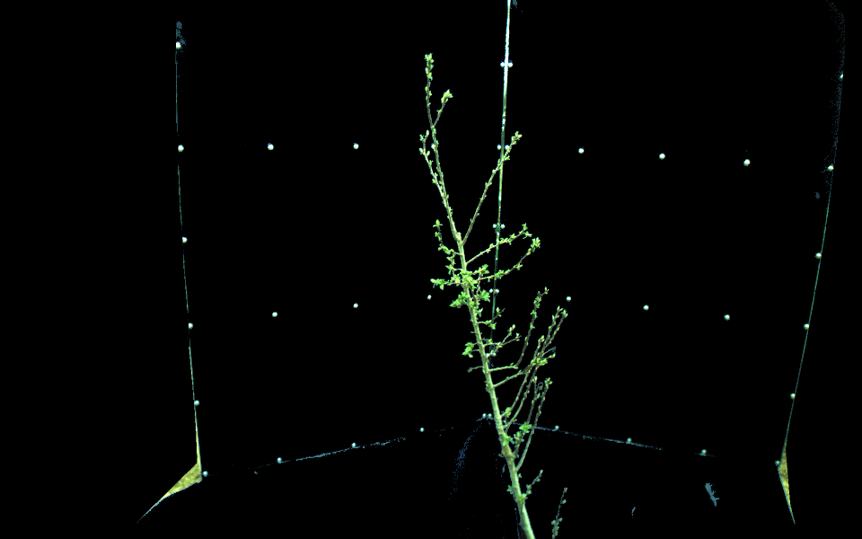 Figure 26