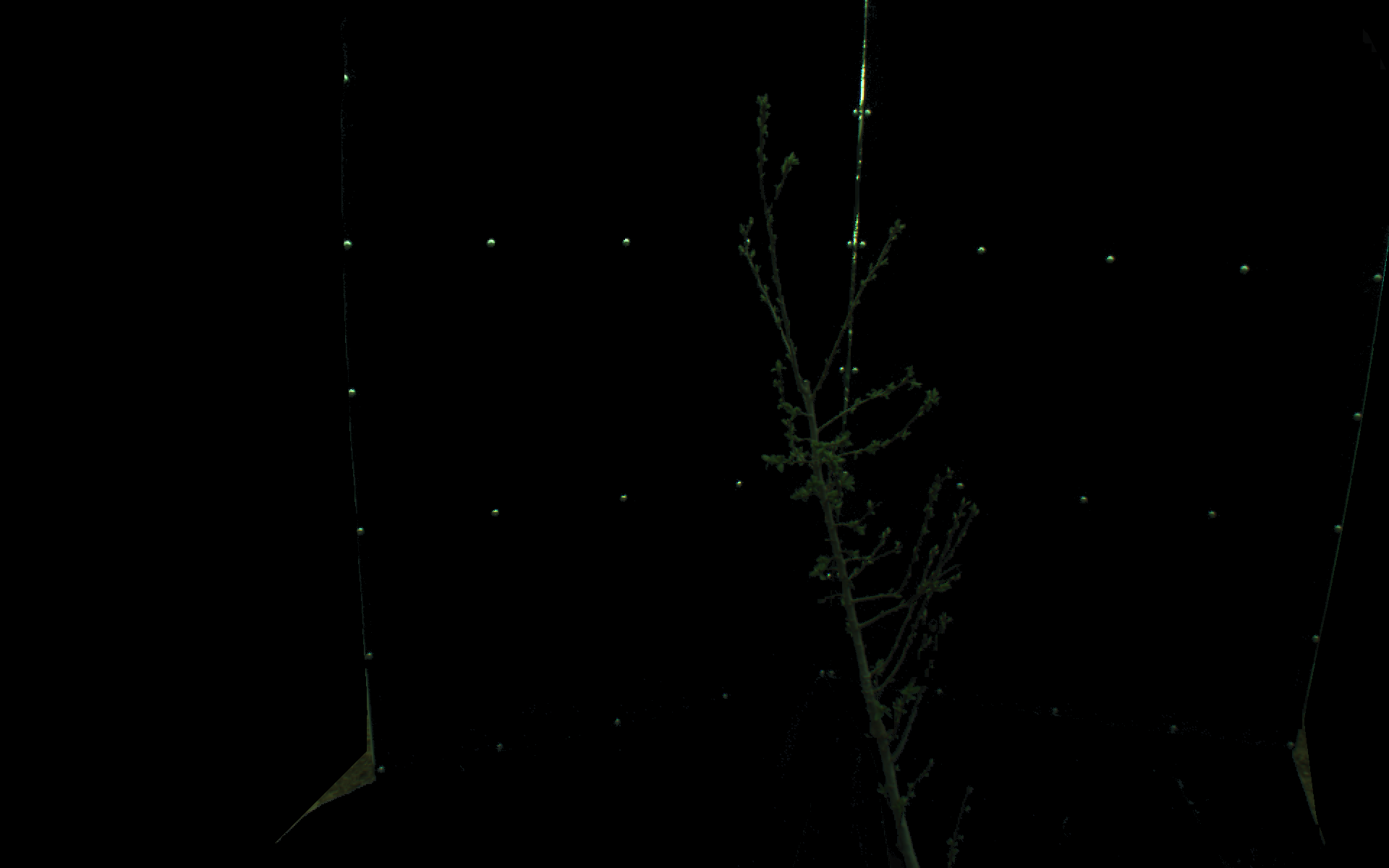 Figure 29