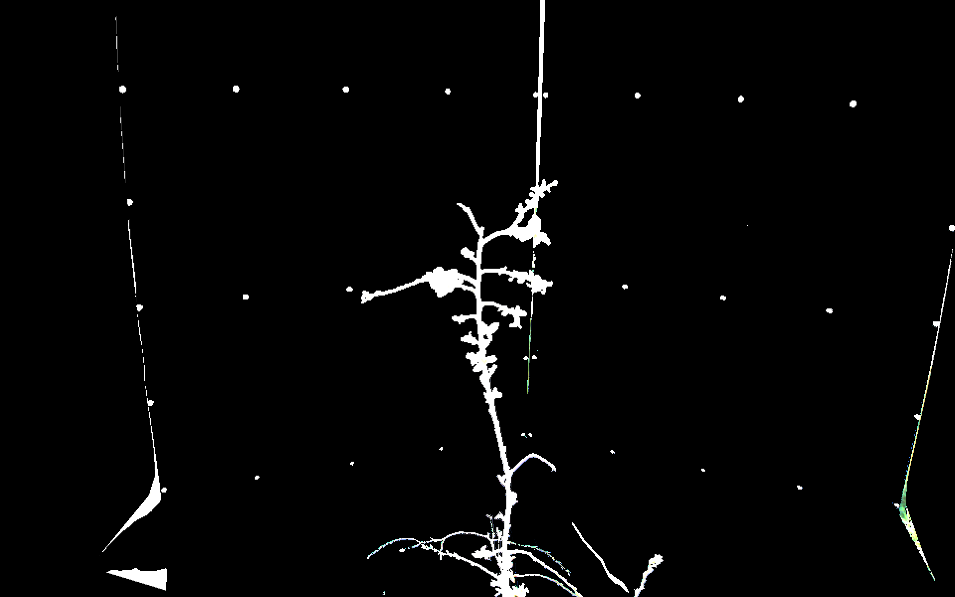 Figure 30
