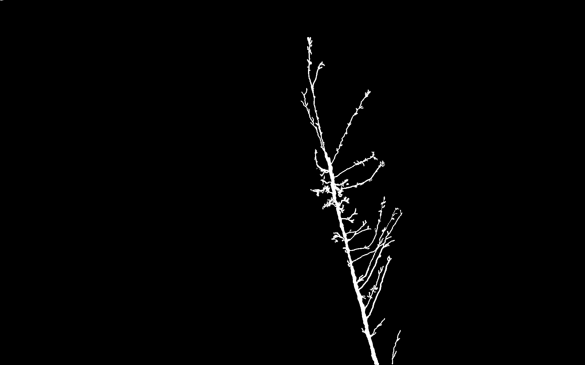 Figure 37