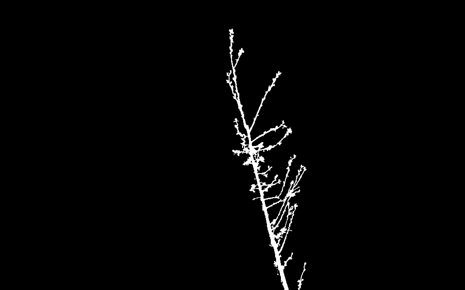 Figure 38