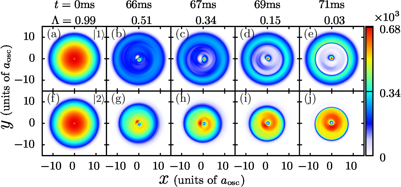 Figure 5