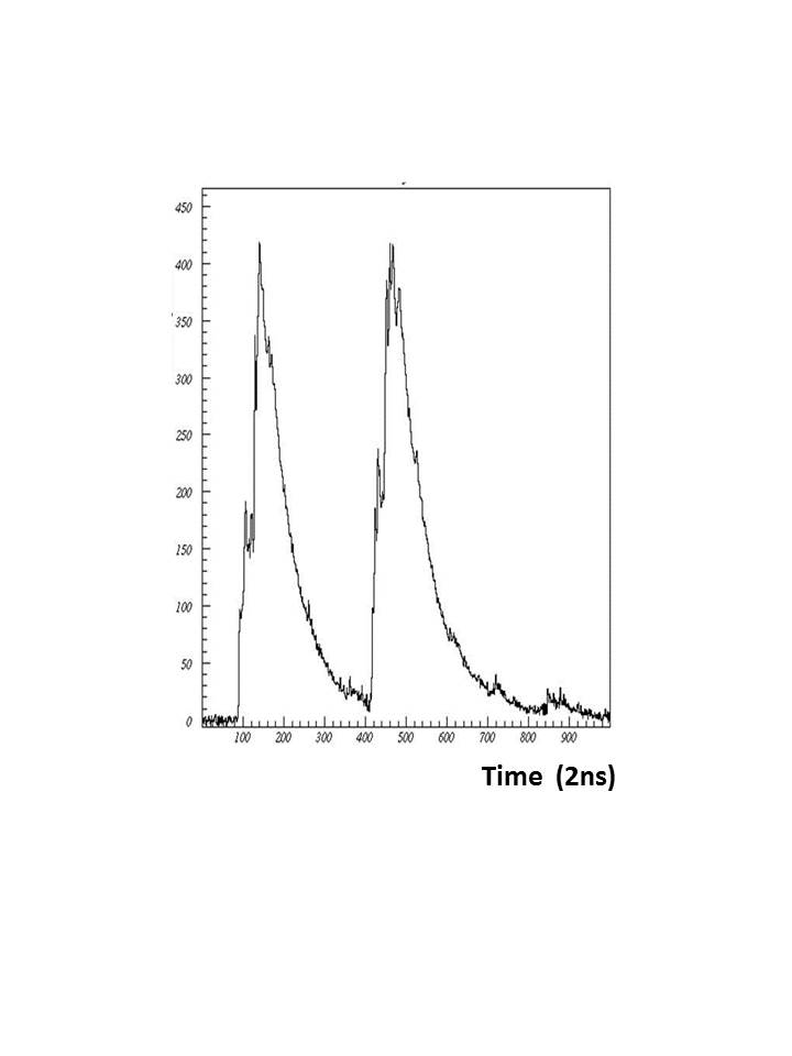 Figure 1017
