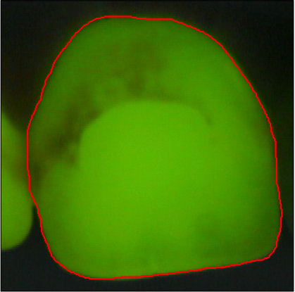 Figure 8