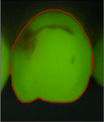 Figure 38