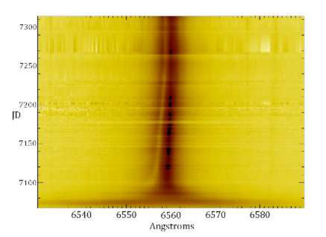 Figure 5