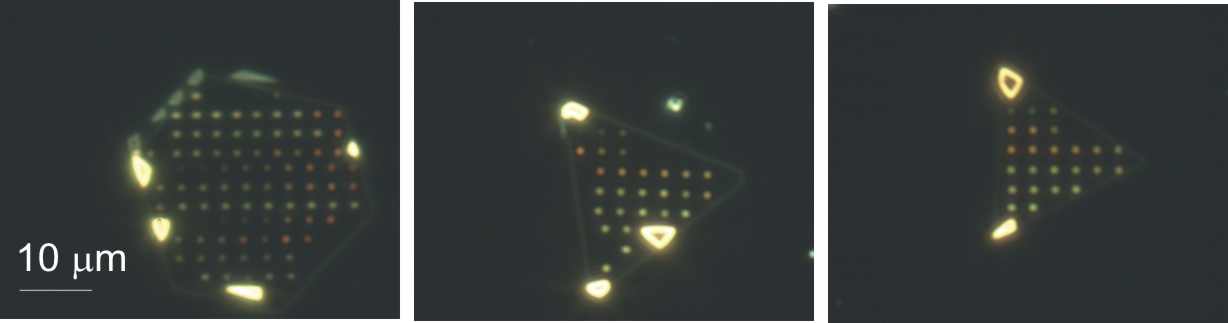 Figure 4