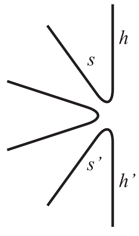 Figure 31