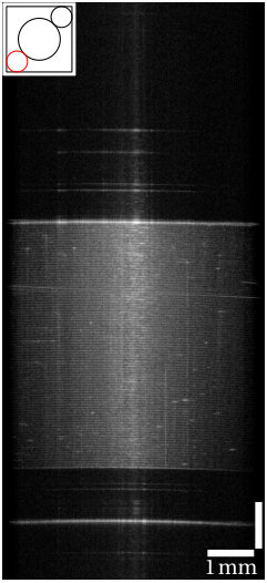 Figure 18