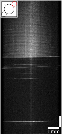 Figure 19