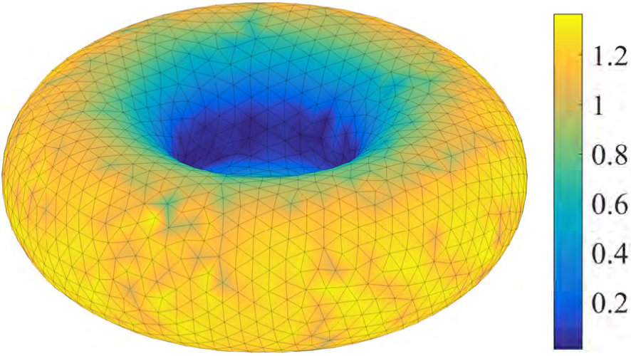 Figure 20
