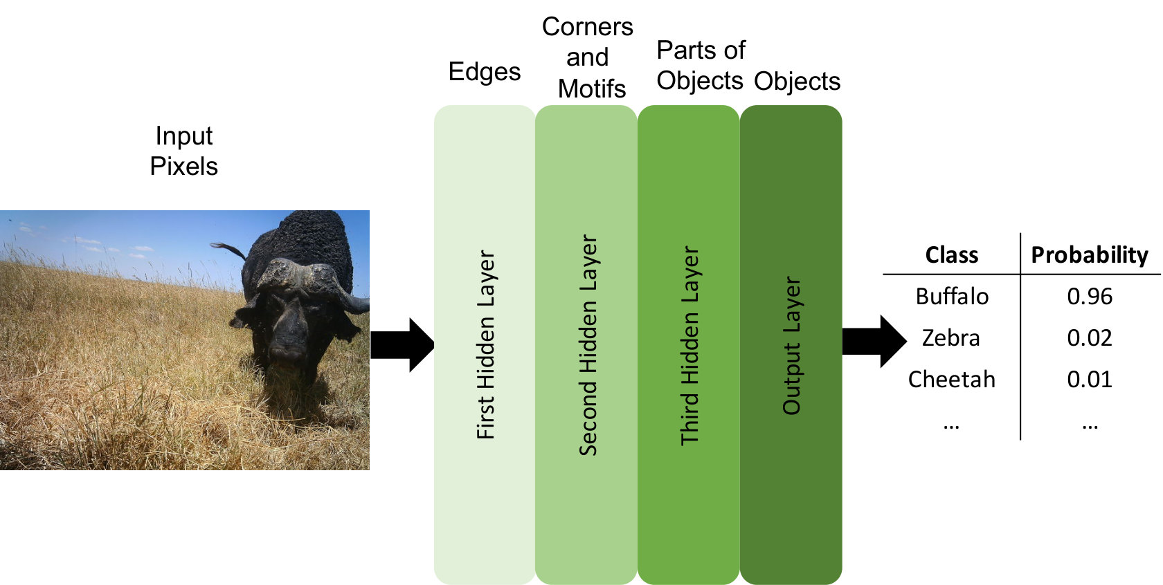 Figure 13