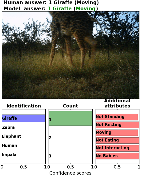 Figure 18