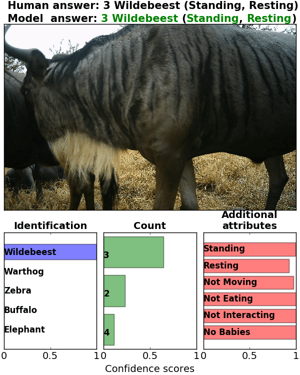 Figure 19
