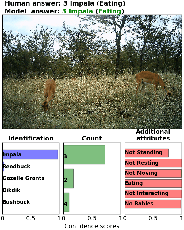 Figure 20
