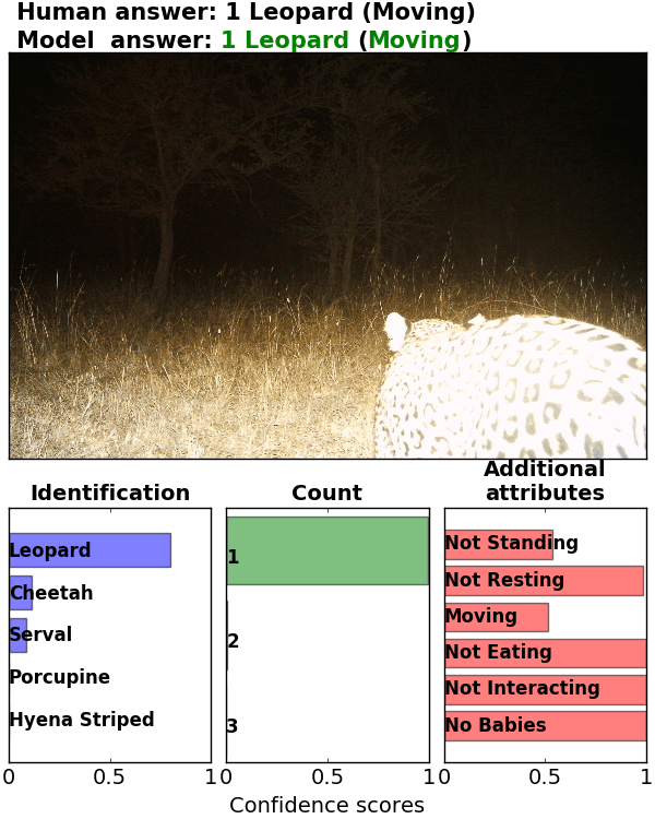 Figure 21