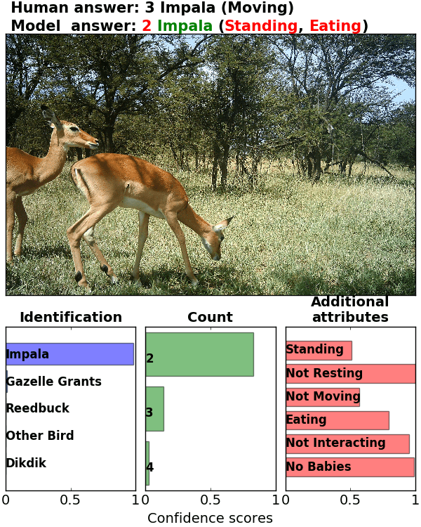 Figure 24