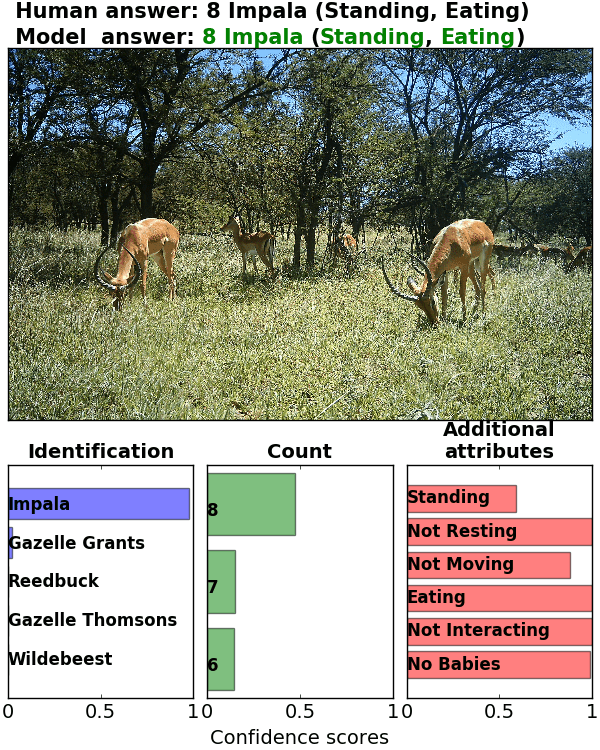 Figure 25