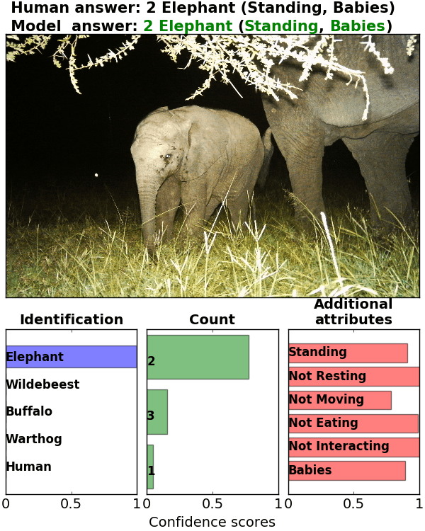 Figure 29