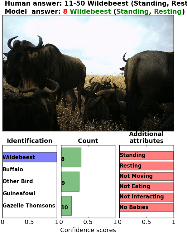 Figure 30