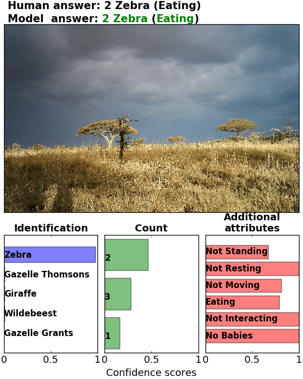 Figure 31