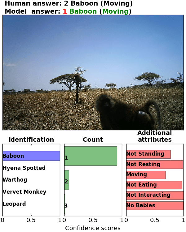 Figure 32