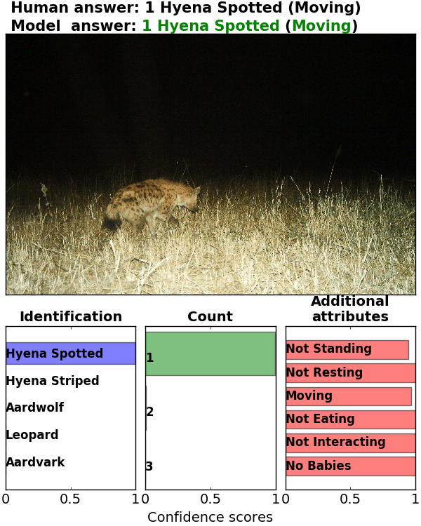 Figure 33