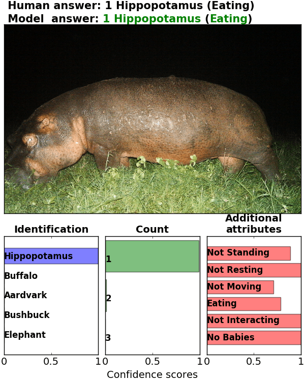 Figure 35