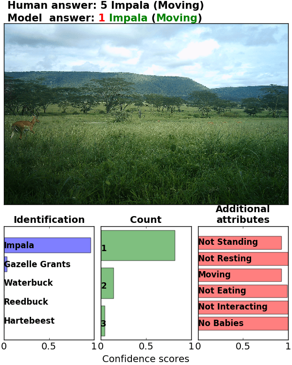 Figure 36