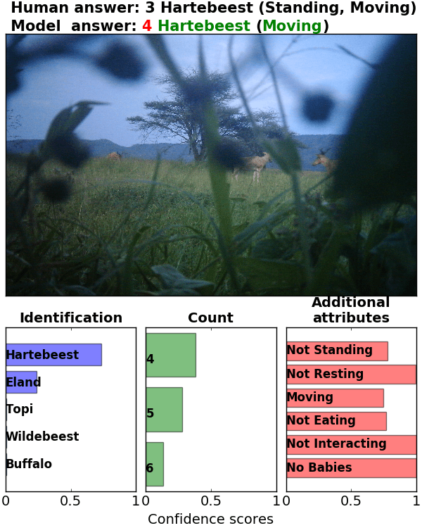 Figure 38