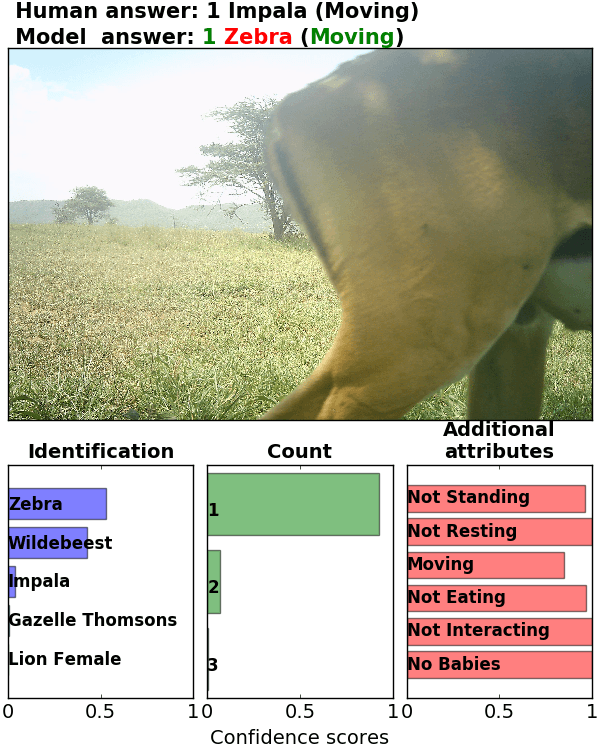 Figure 39