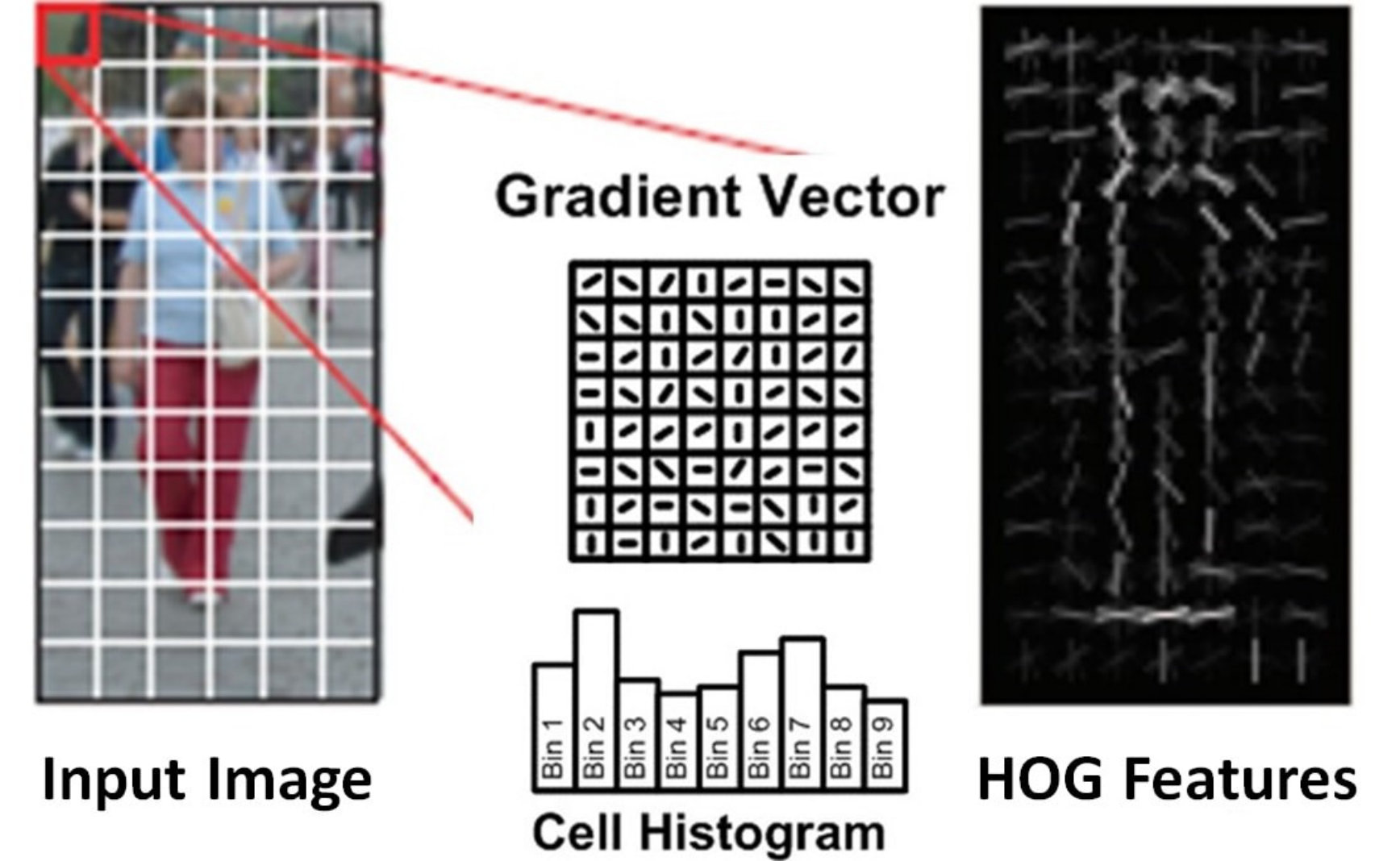 Figure 13