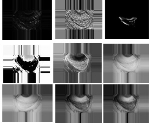 Figure 10