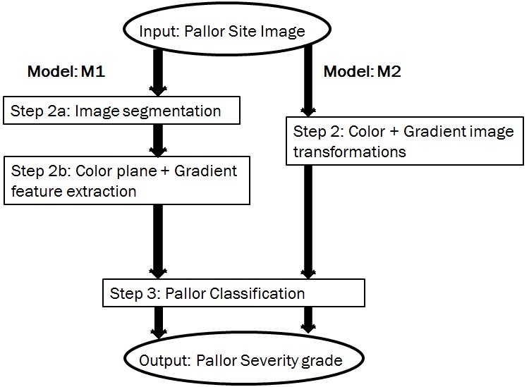 Figure 17