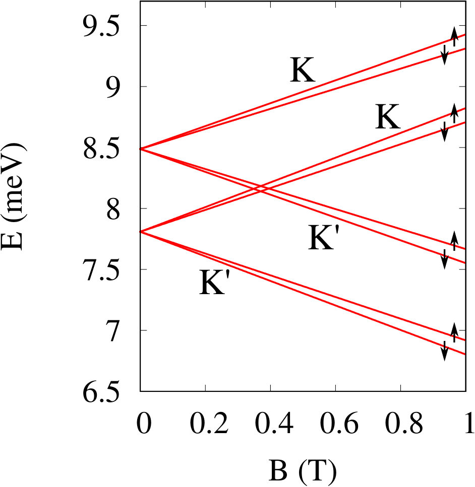 Figure 13