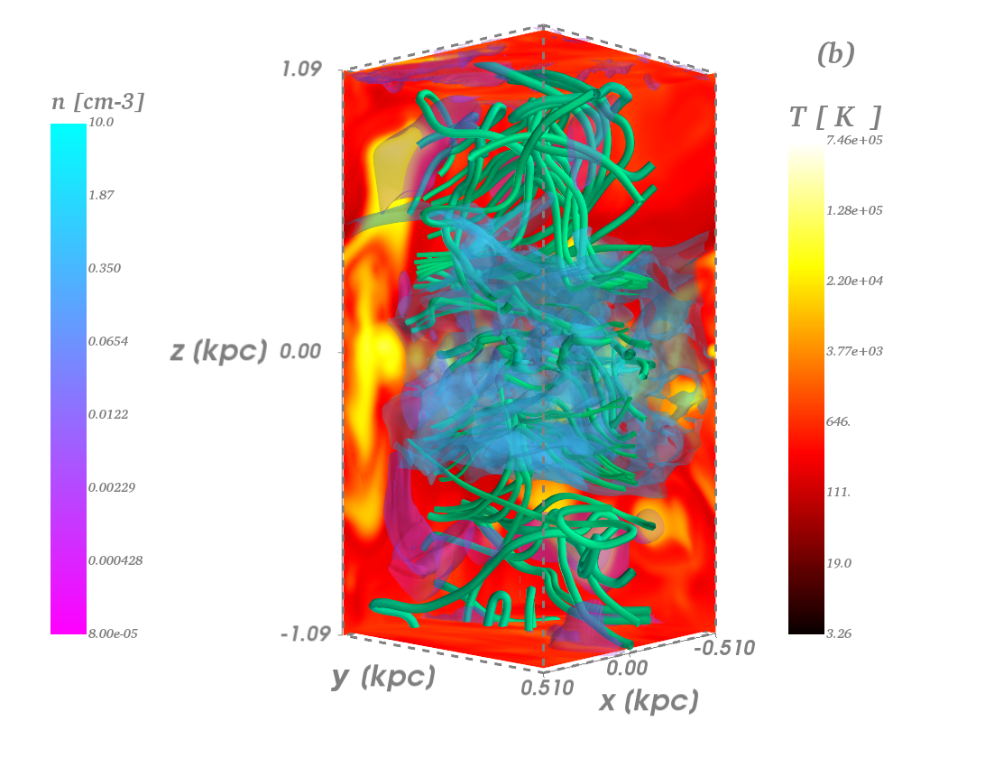 Figure 20