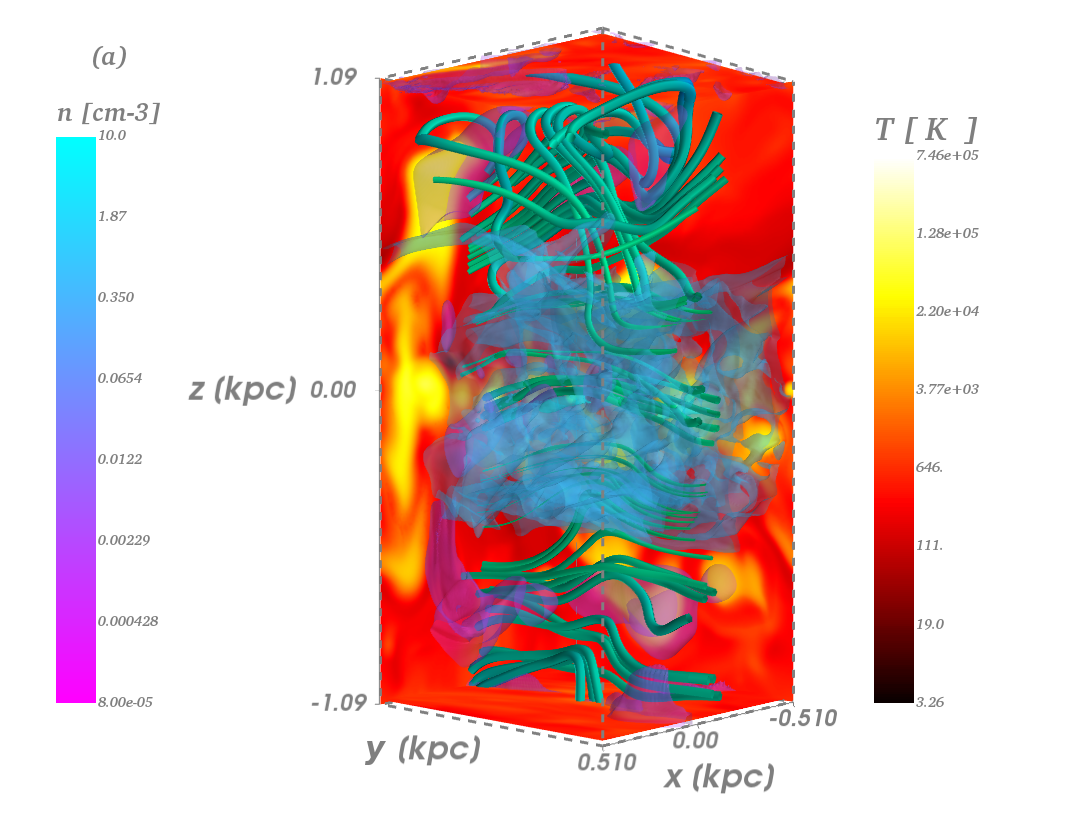 Figure 31