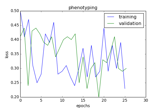 Figure 38