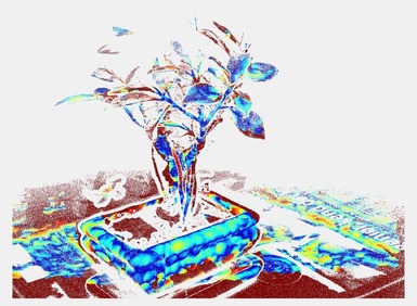 Figure 27